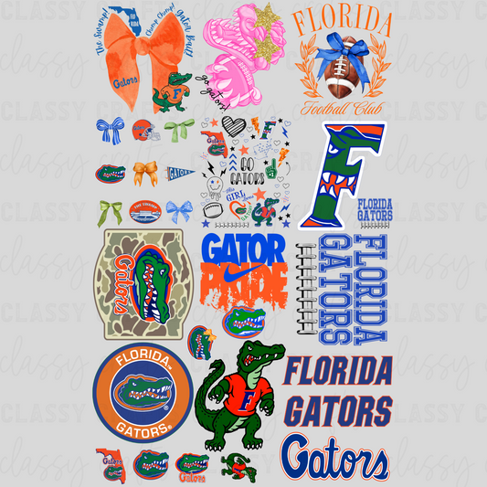 FL.Gators Football - 30x48 -PREMADE GANG SHEET