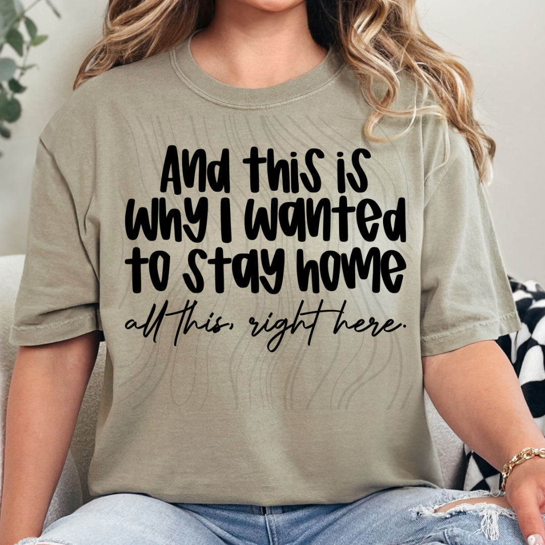 This Is Why I Wanted To Stay Home Transfer
