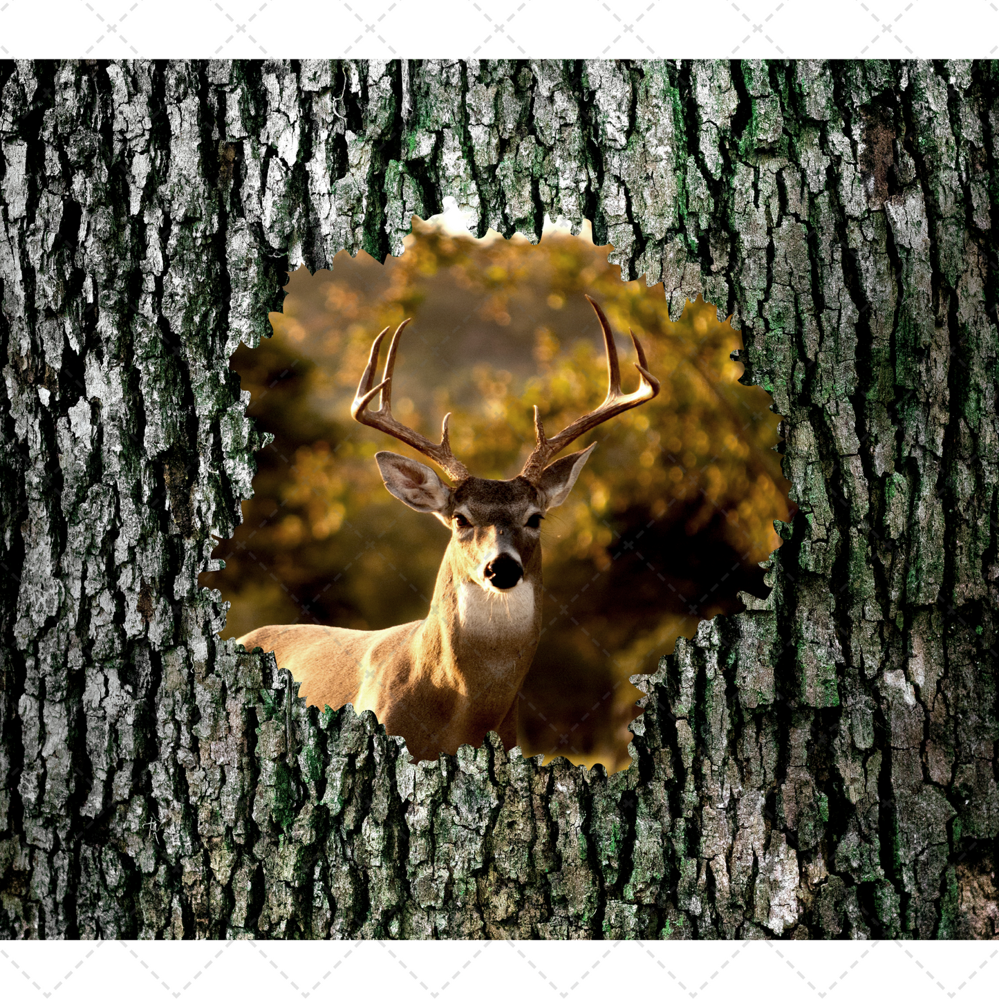 Deer In Tree Tumbler Transfer