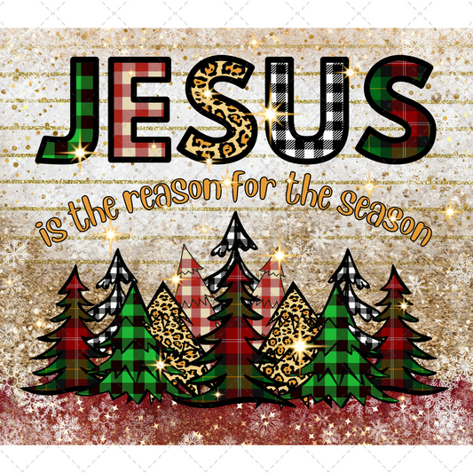 Jesus Is The Reason Tumbler Transfer