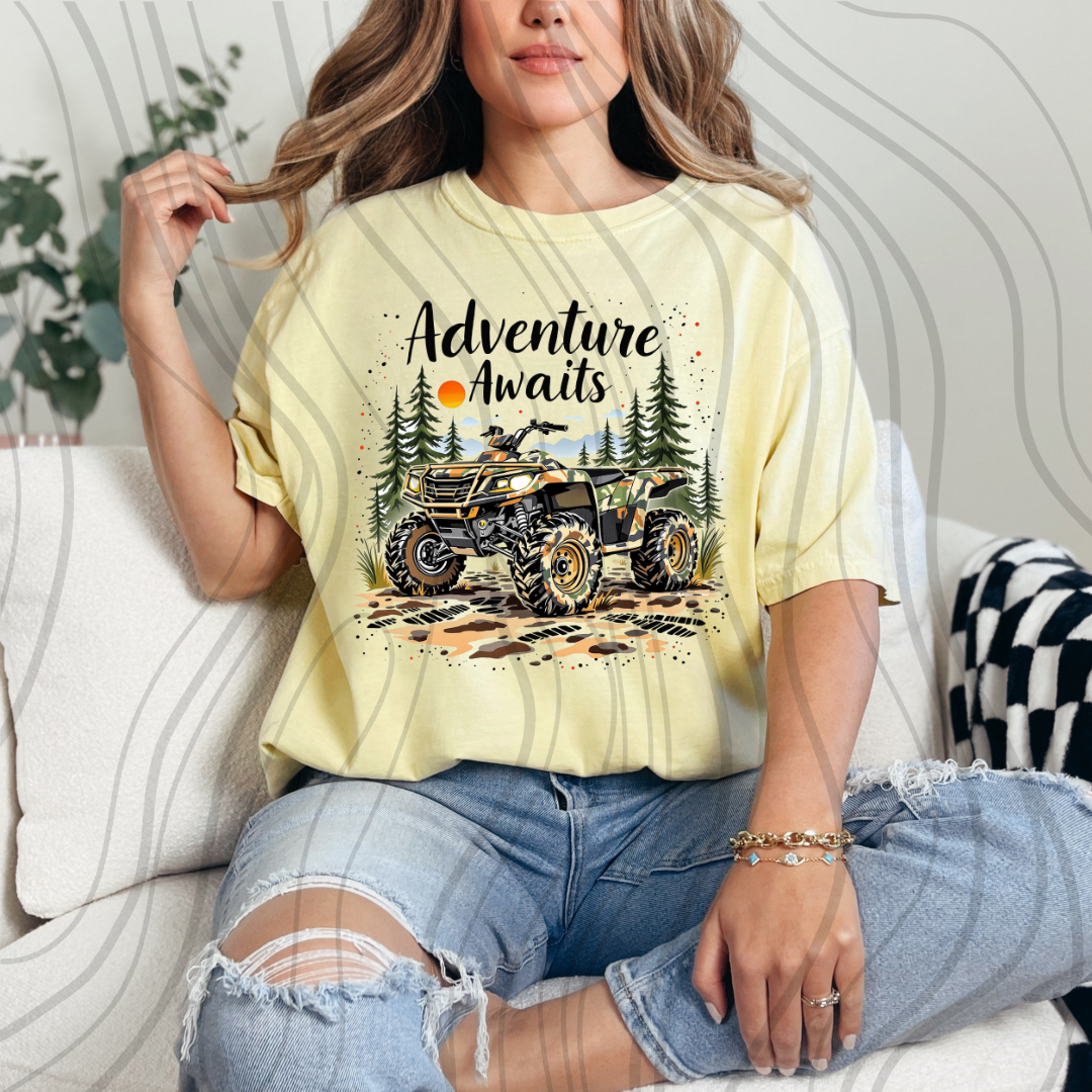 Adventure Awaits Transfer