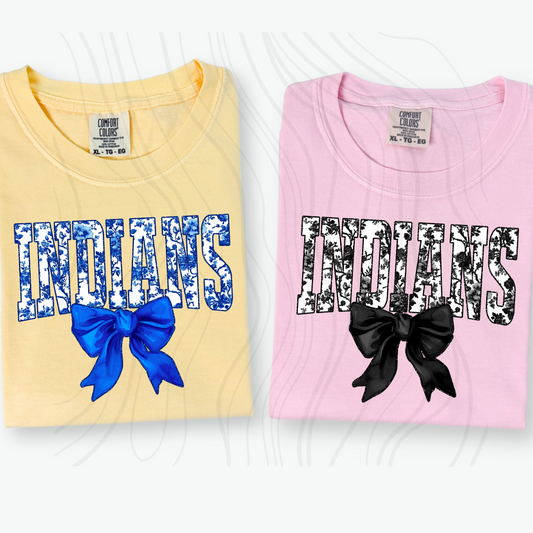 Black Indians Transfer