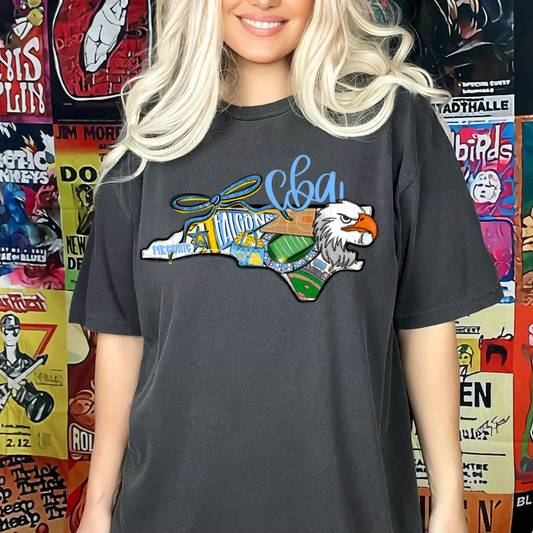 CBA Falcons Game Day Coquette Transfer