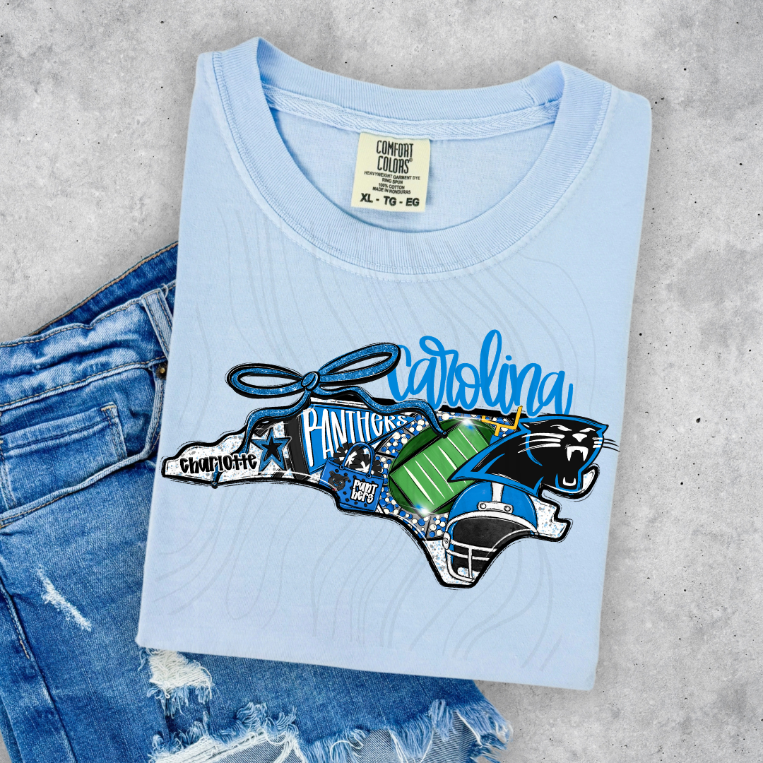 Carolina Panthers Game Day Coquette Transfer