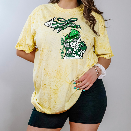 Central Motcalm Hornets Transfer