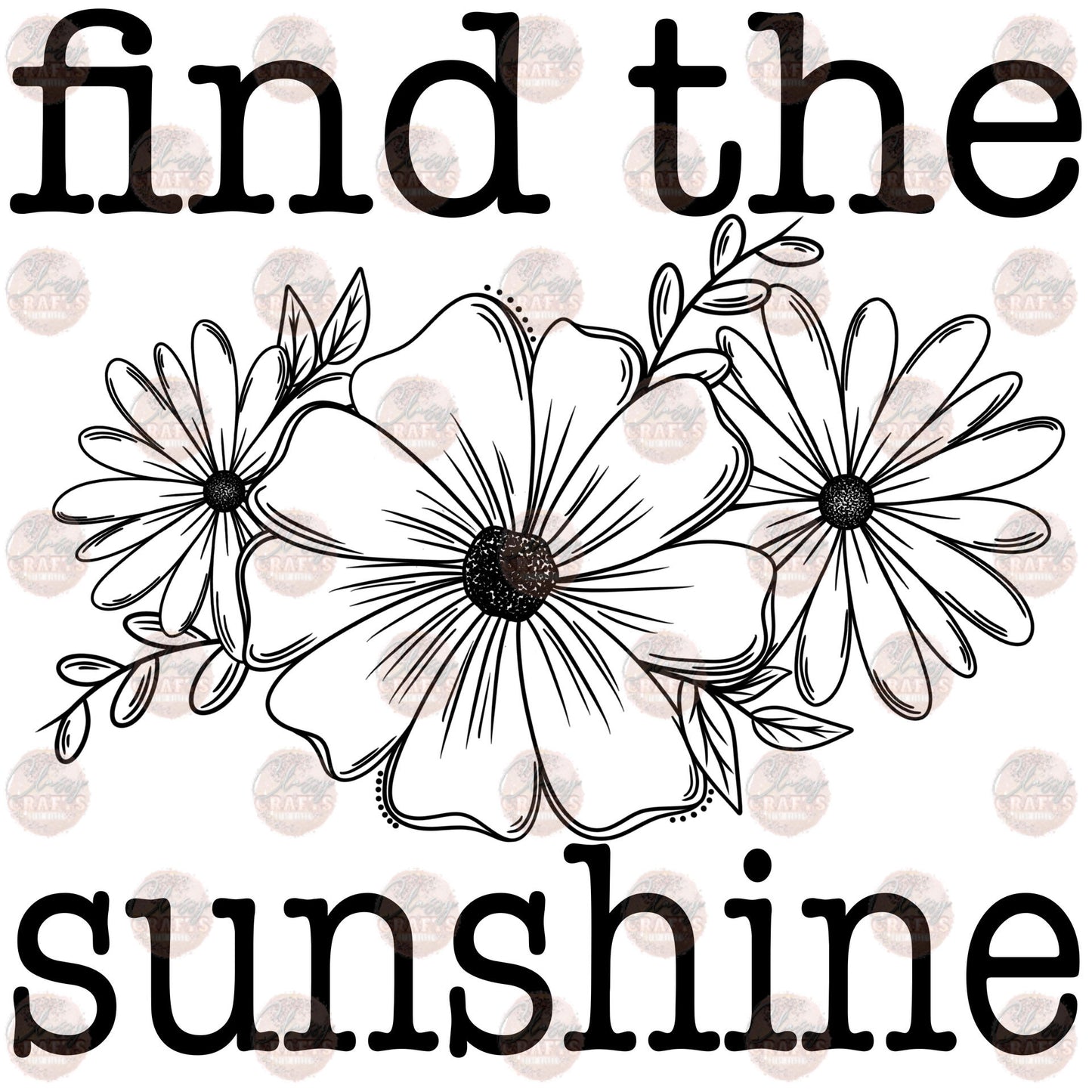 Find The Sunshine Transfer
