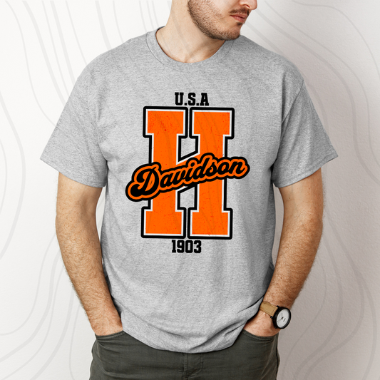 HD USA 1903 Distressed Transfer