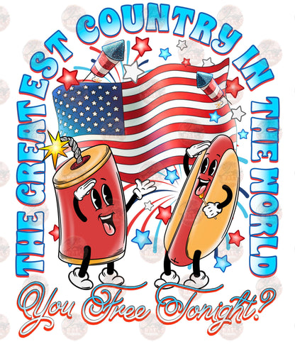 Hotdog and Firecracker with Flag **TWO PART* SOLD SEPARATELY** Transfer