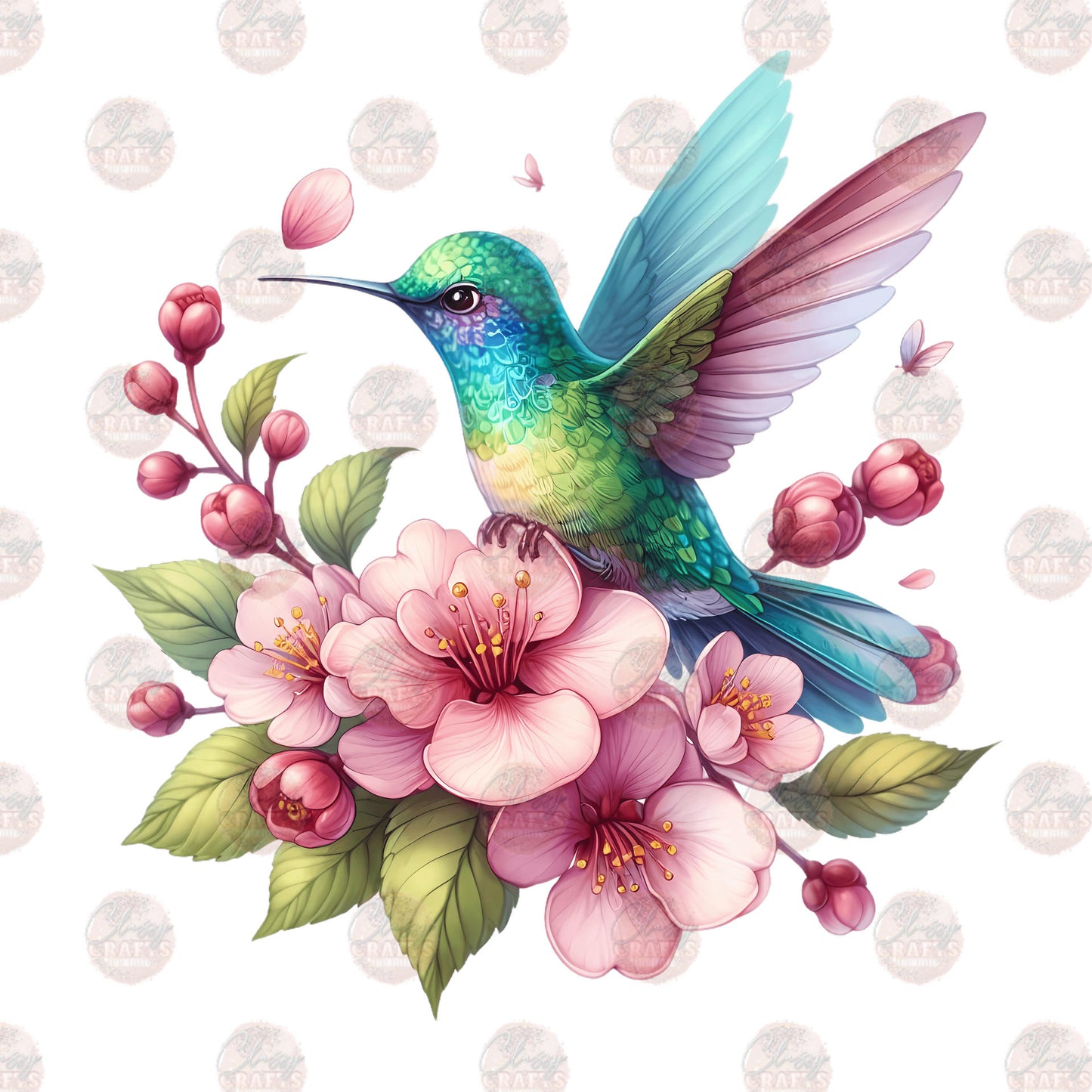 Hummingbird 1 Transfer