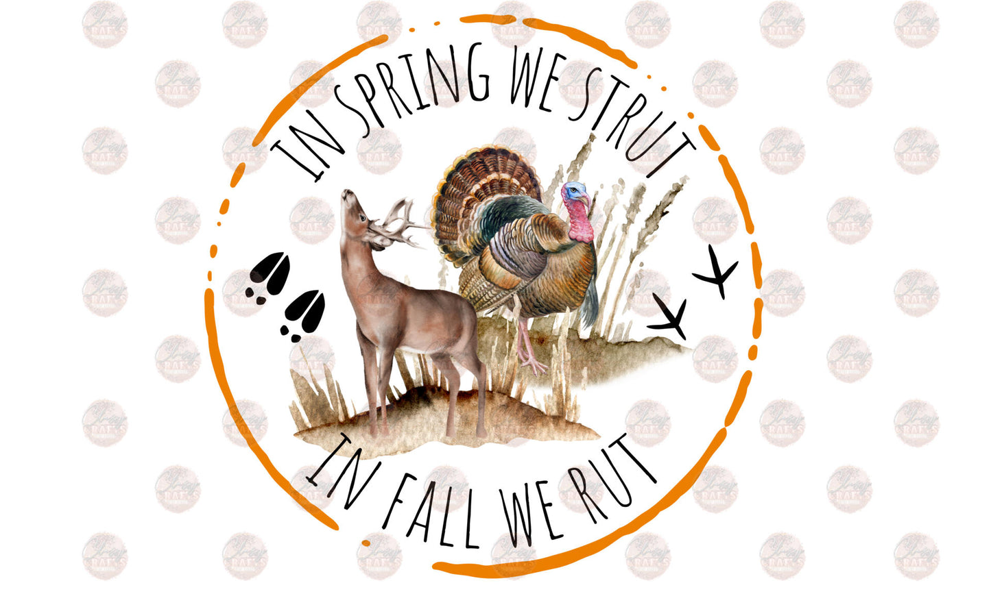 In Spring & Fall Transfer