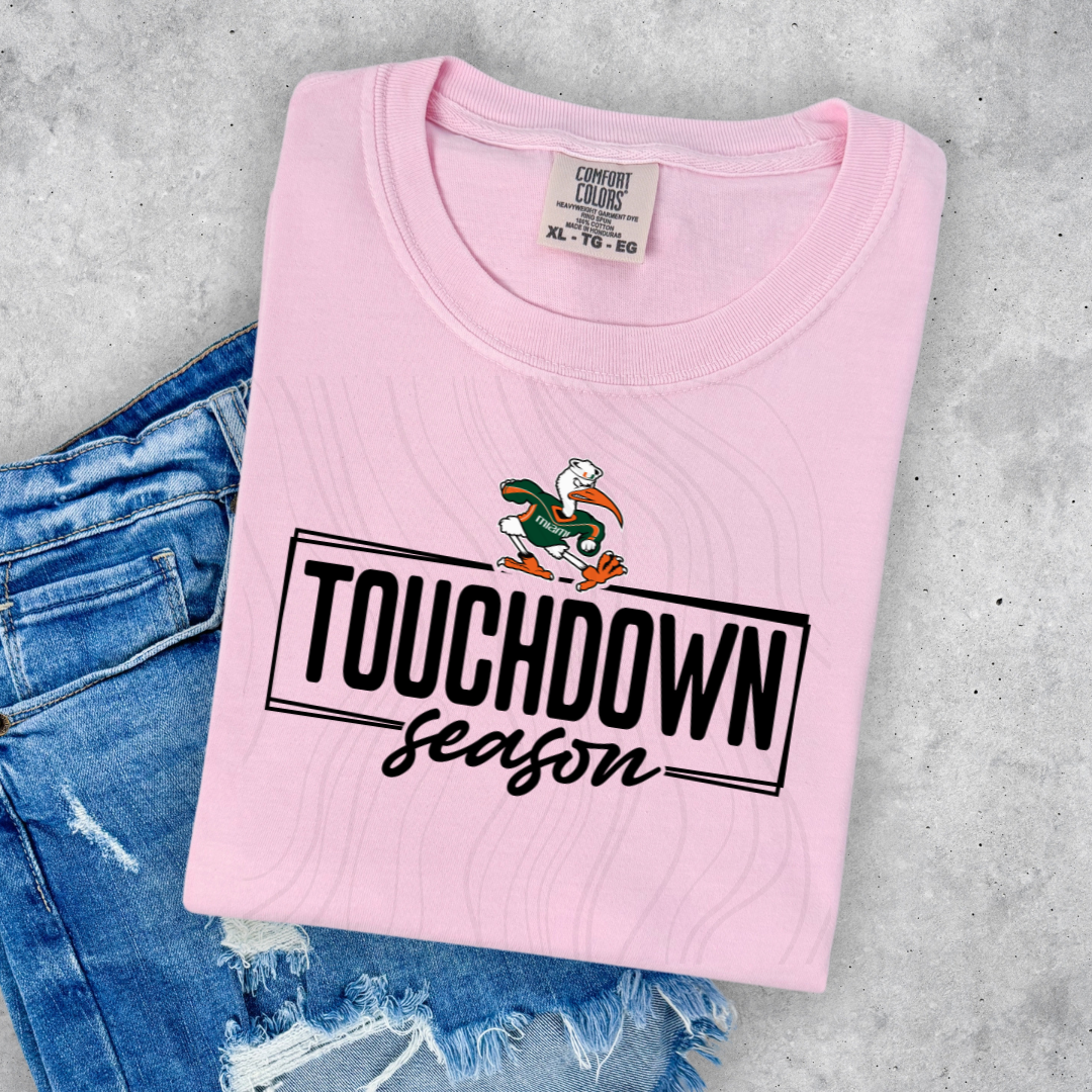 MI TOUCHDOWN Transfer