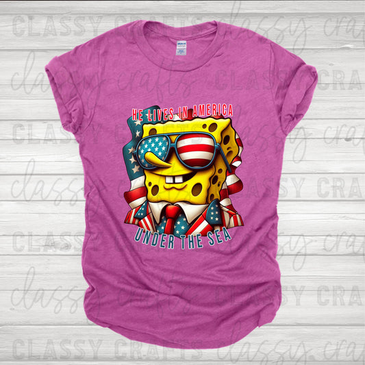 Mr. Bob Lives In America Transfer