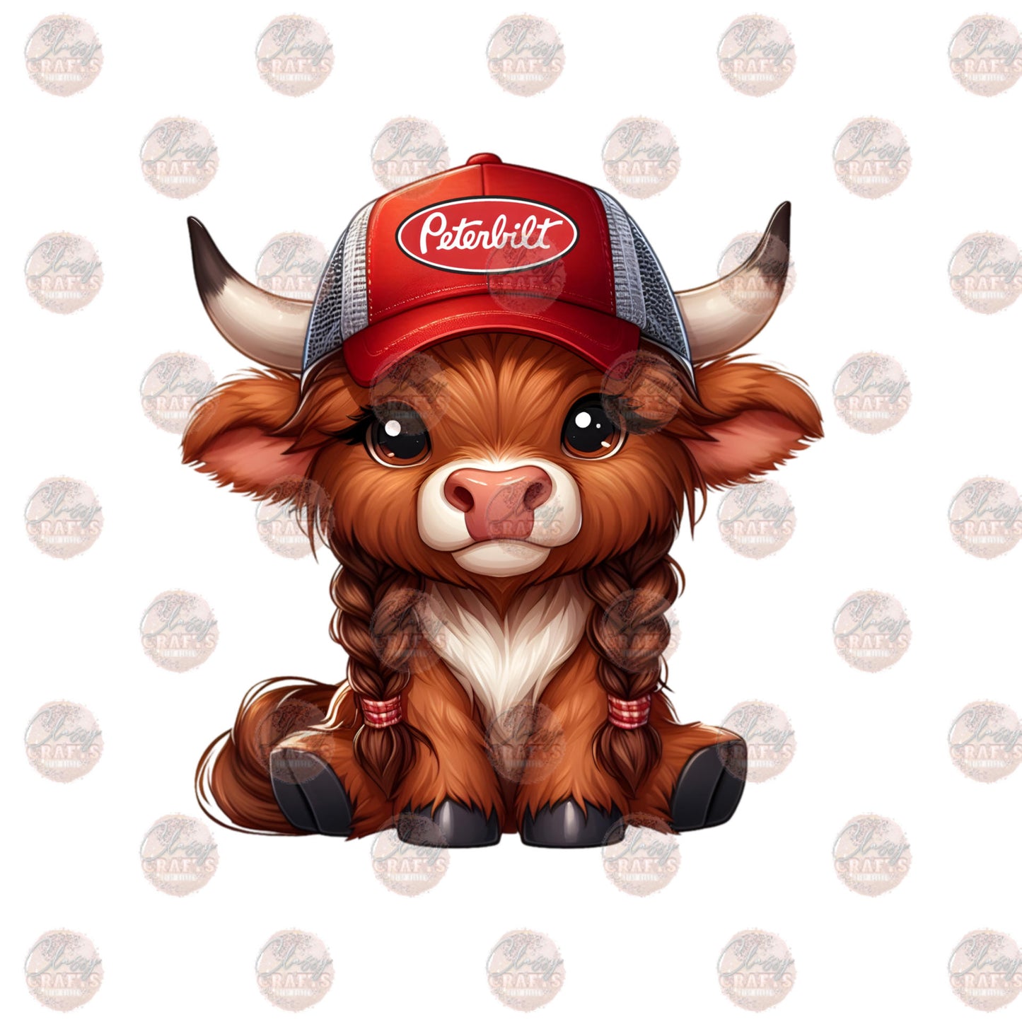 Peter Highland 5 Transfer