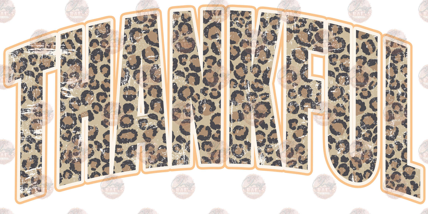 Thankful Leopard Transfer