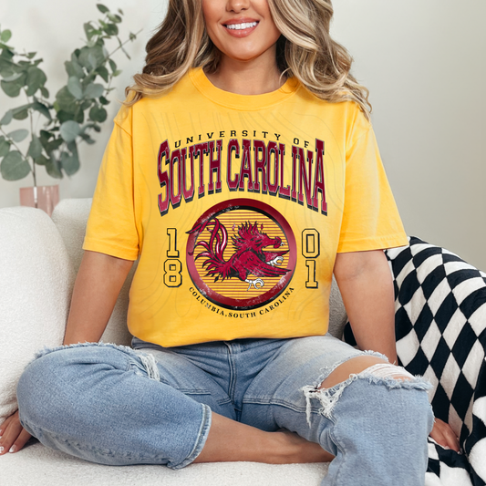 Vintage Team SC Transfer