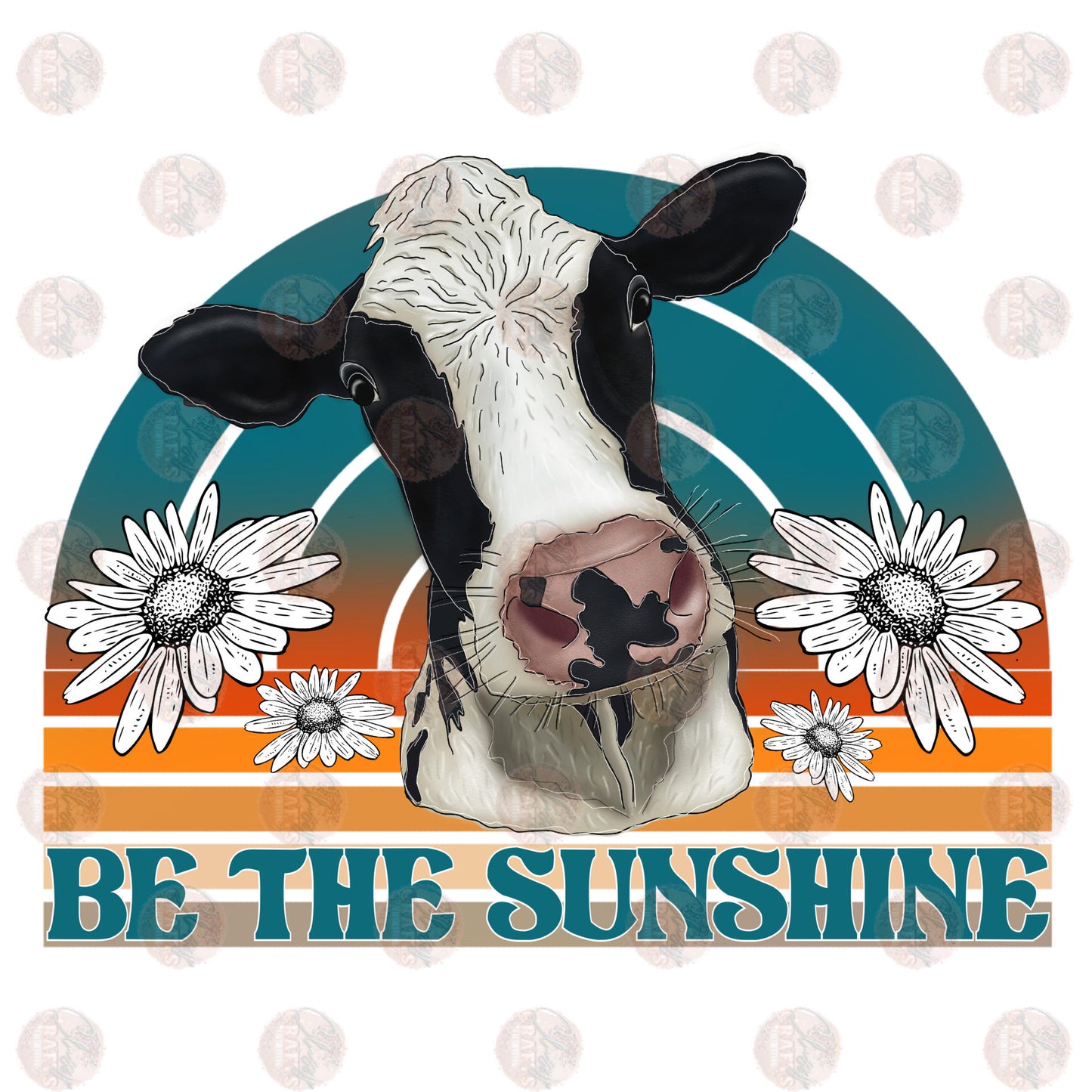 Be The Sunshine Transfer