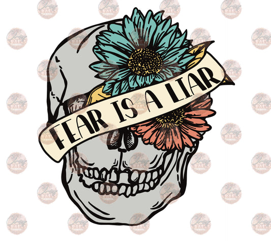 Fear Is A Liar Color Transfer