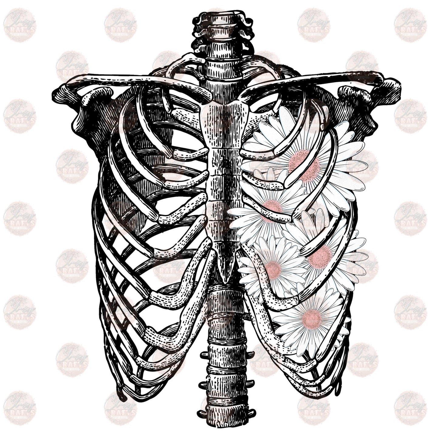 Rib Cage Daisys Transfer