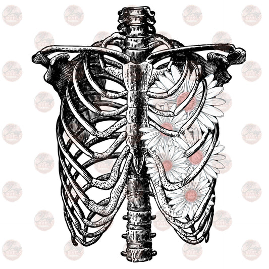 Rib Cage Daisys Transfer