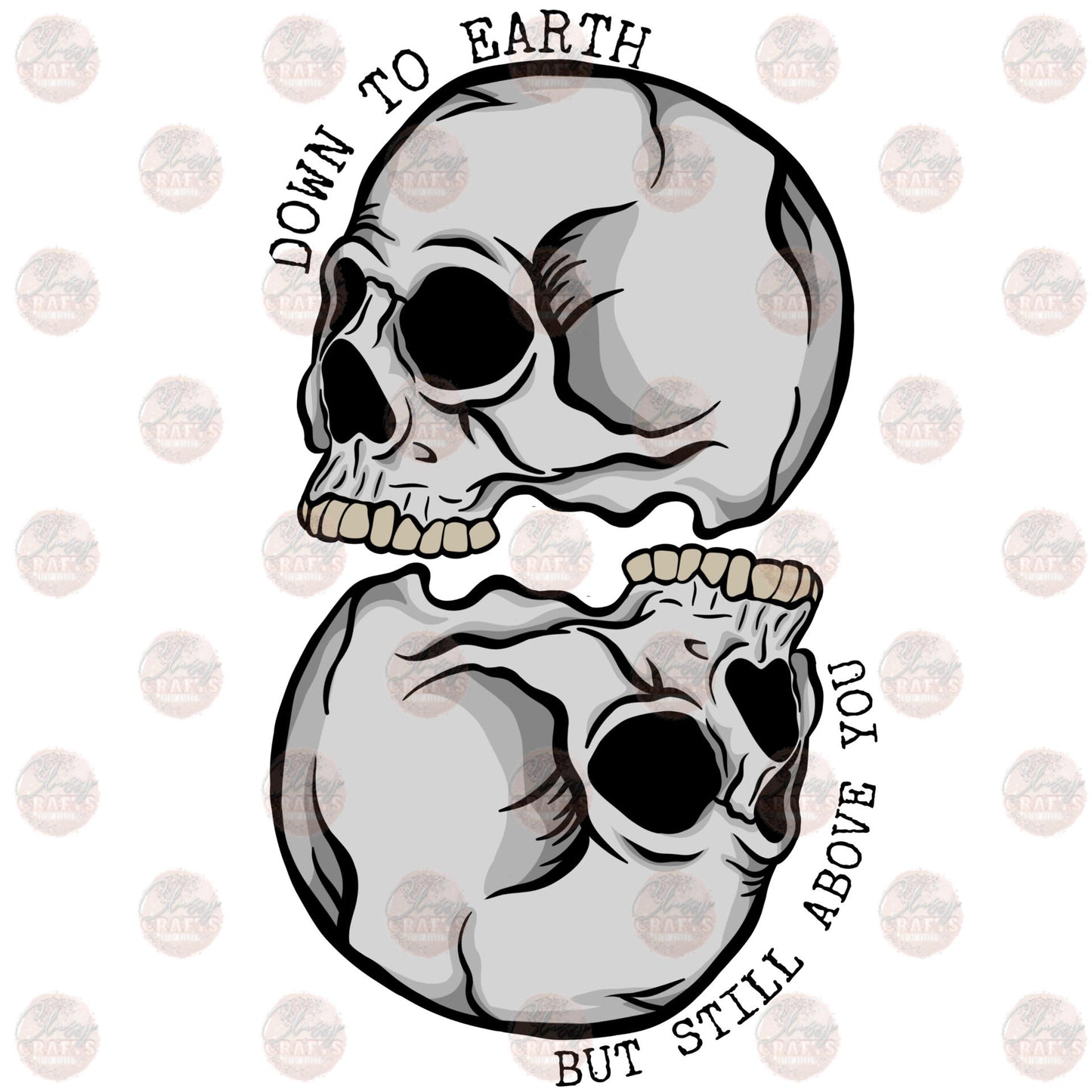 Still Above You Skulls Transfer