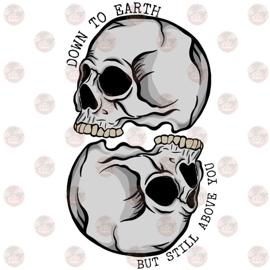 Still Above You Skulls Transfer