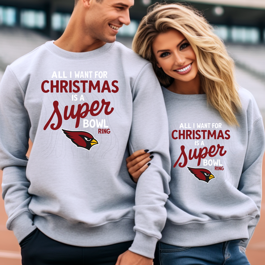 Christmas Super Bowl AC Transfer**SOLD SEPARATELY**