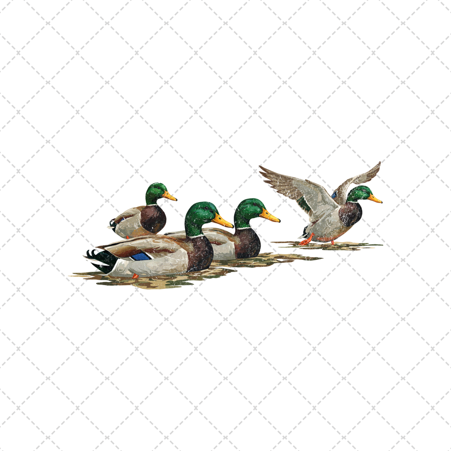 Mallard Ducks Transfer