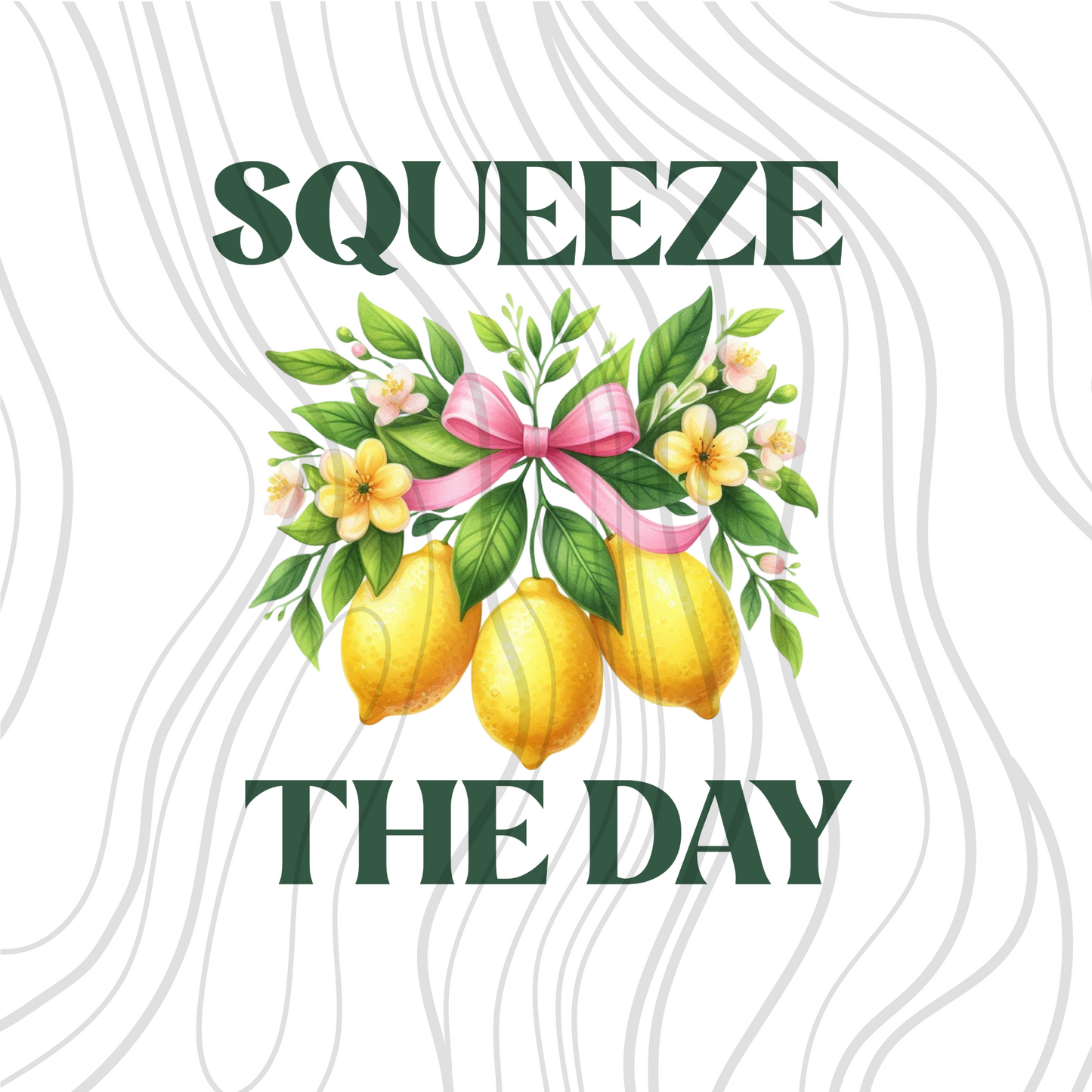 Squeeze The Day Transfer