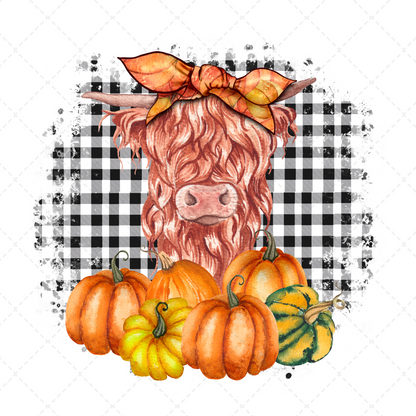 Highland Cow Coquette Transfer