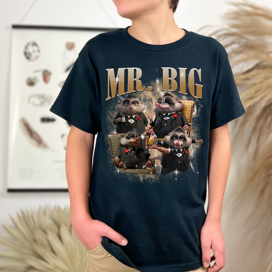 Mr Big Zoo Transfer