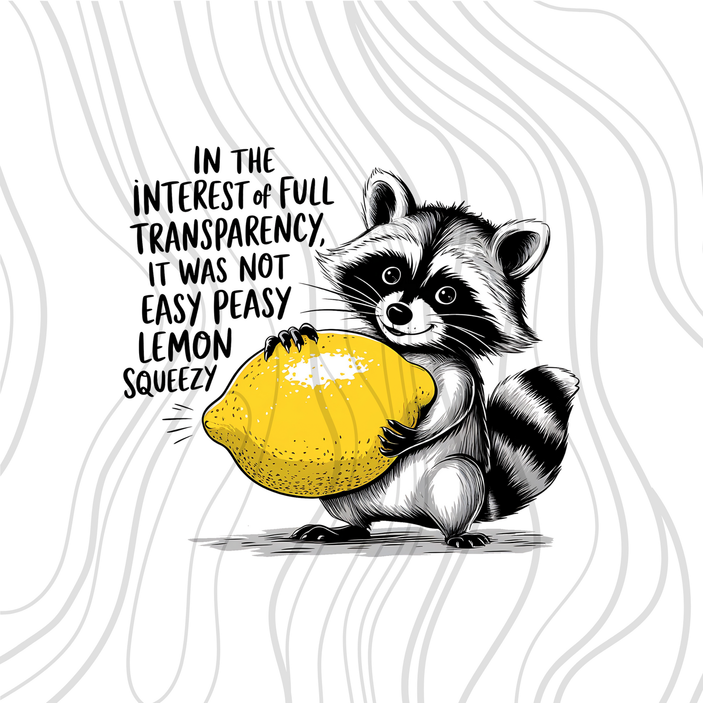 Raccoon It Was Not Easy Peasy Transfer