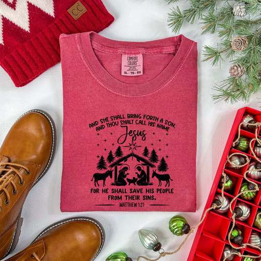 Jesus Nativity Scene Transfer