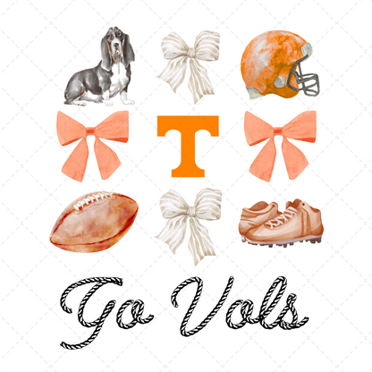 Go Vols Transfer