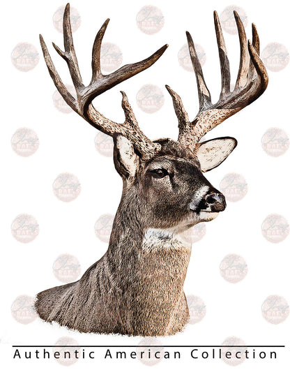 Authentic Whitetail **TWO PART* SOLD SEPARATELY** Transfer