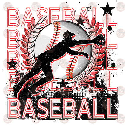 Baseball Catch Transfer