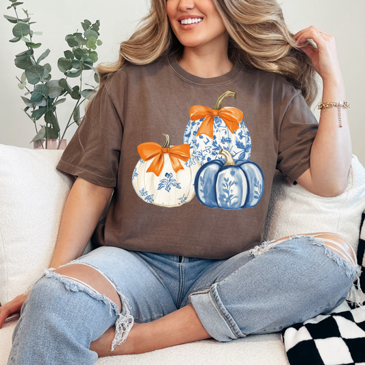 Blue And White Pumpkins Transfer