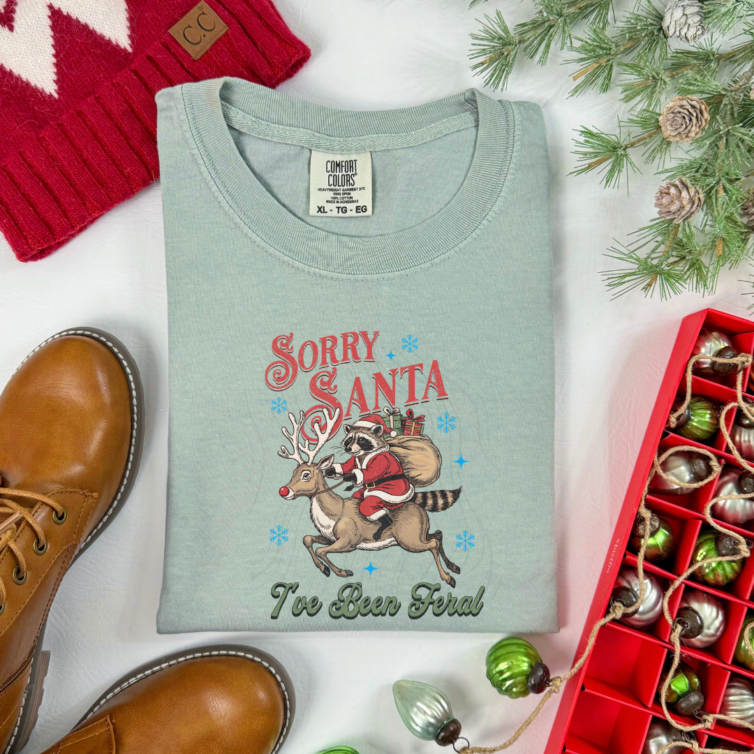 FERAL SORRY SANTA TRANSFER