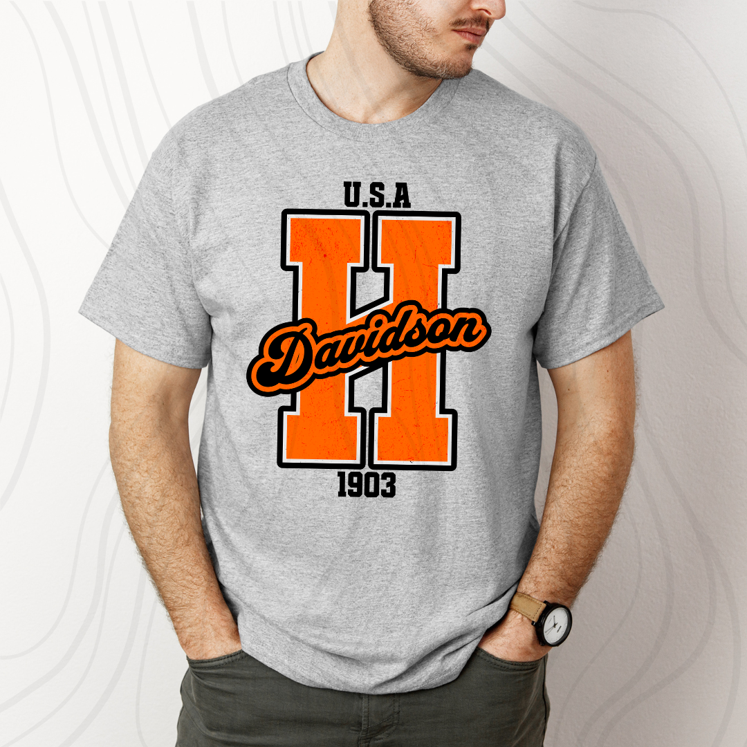 HD USA 1903 Distressed Transfer