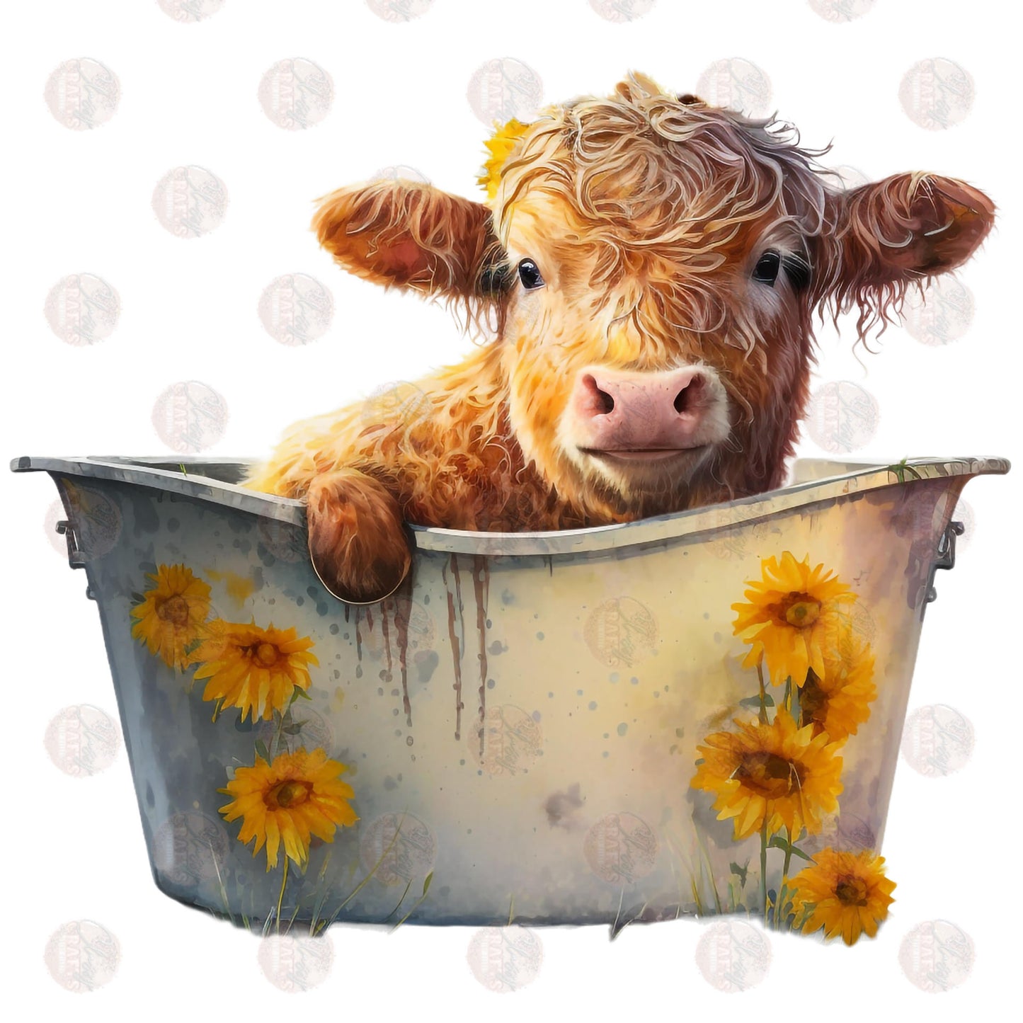 Highland Cow In Sunflower Tub Transfer