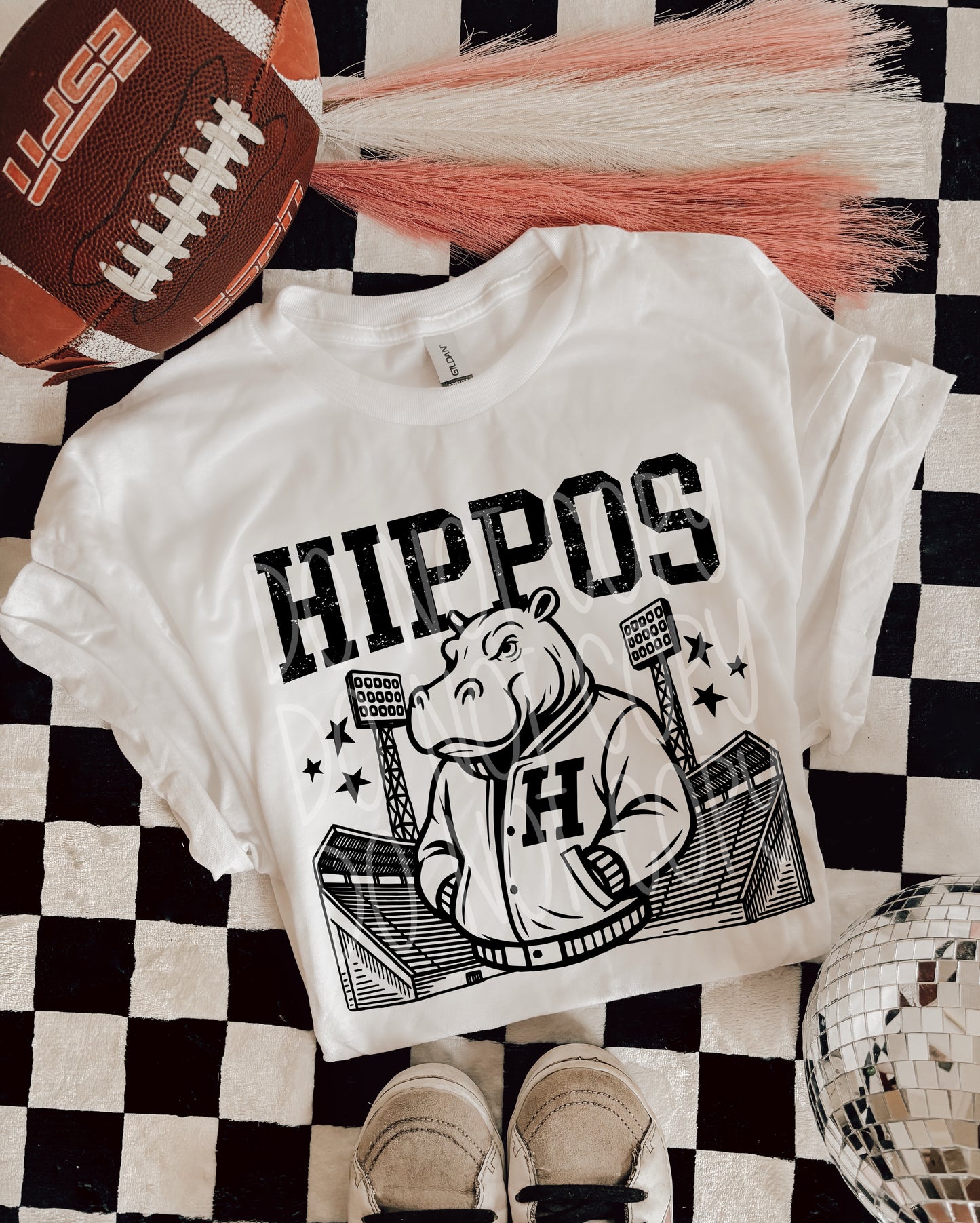 Hippos Letterman Transfer