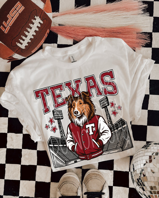 Teaxas  Letterman Transfer