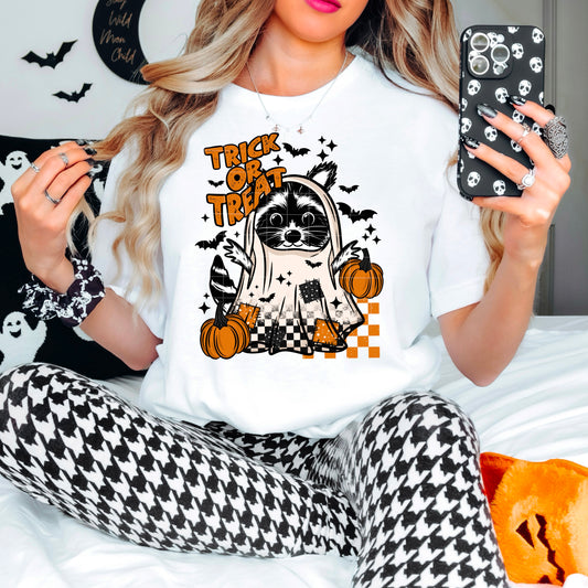 Trick Or Treat Ghost Racoon Transfer