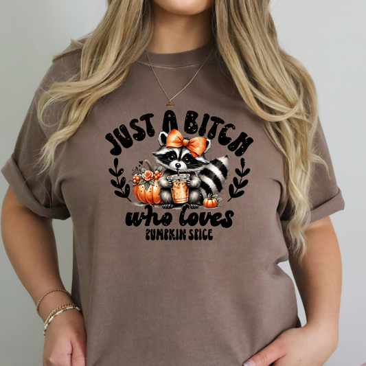 Just A Bitch Who Loves Pumpkin Spice Transfer