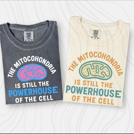 Mitochondria Transfer