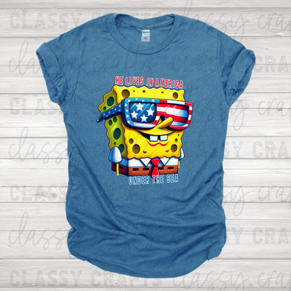 Mr. Bob Lives In America Transfer