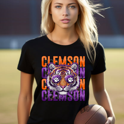 SC Clemson Purple&Orange Transfer