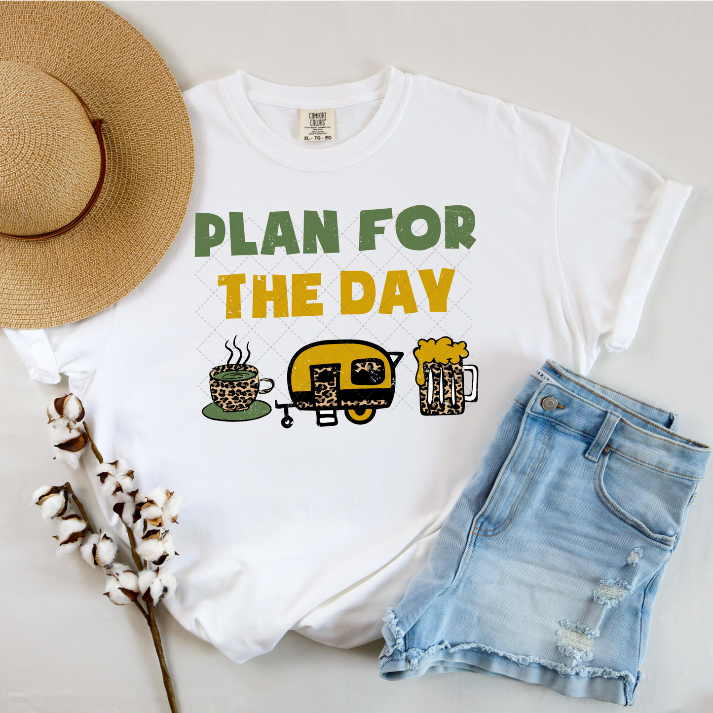 Plan For the Day Transfer