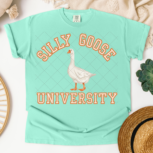 Silly Goose University Transfer