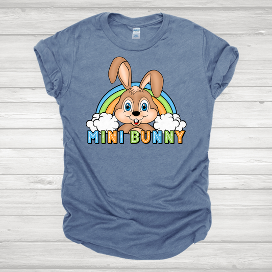 Mini Bunny Rainbow 1 Transfer