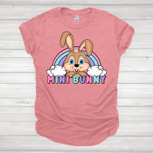 Mini Bunny Rainbow 2 Transfer